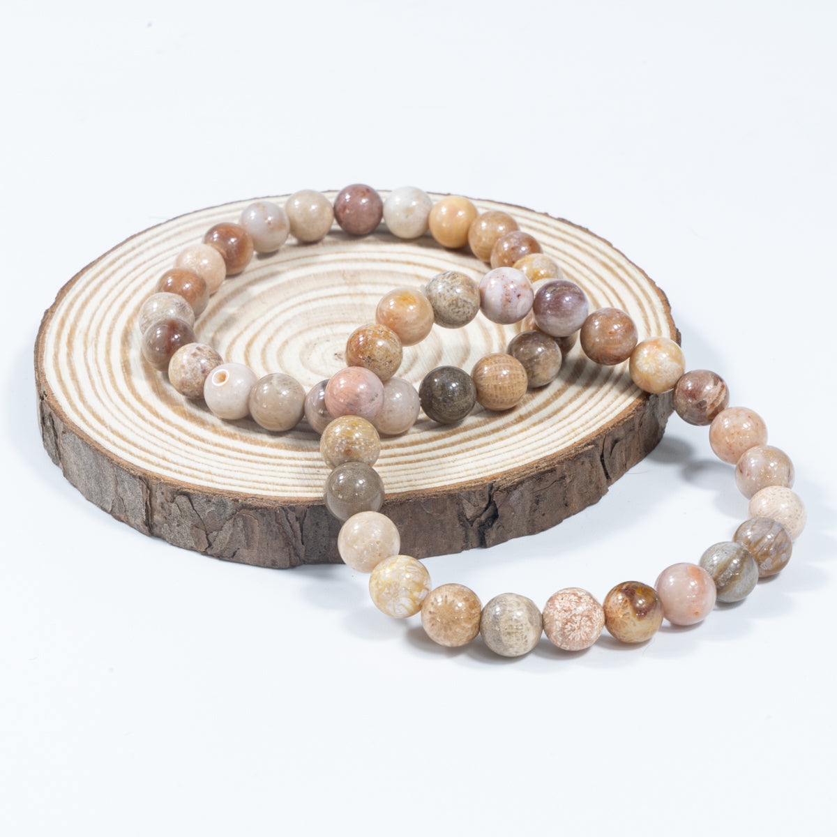 8mm Fossilized Coral Wholesale