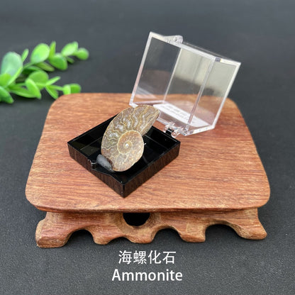 Micro Mineral Box Raw Crystal GemstoneCollection Box