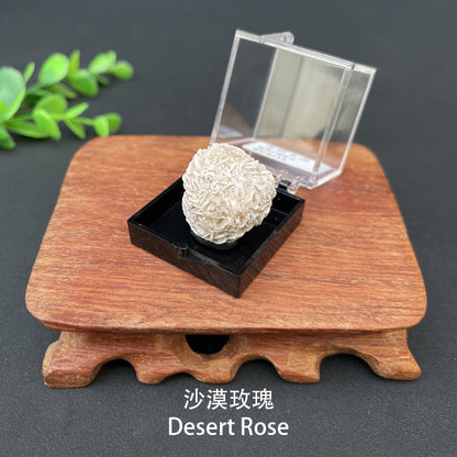 Micro Mineral Box Raw Crystal GemstoneCollection Box