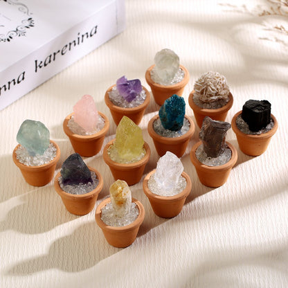 Micro Mineral Raw Crystal Gemstone Collection