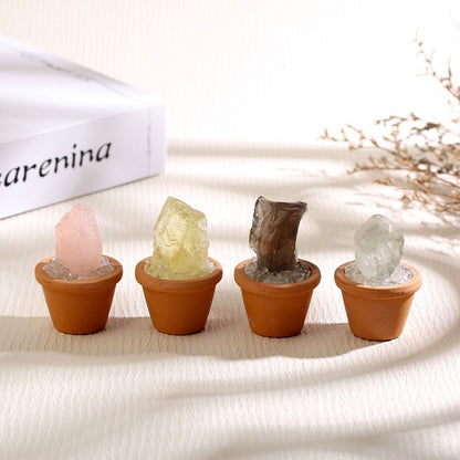 Micro Mineral Raw Crystal Gemstone Collection