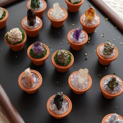 Micro Mineral Raw Crystal Gemstone Collection