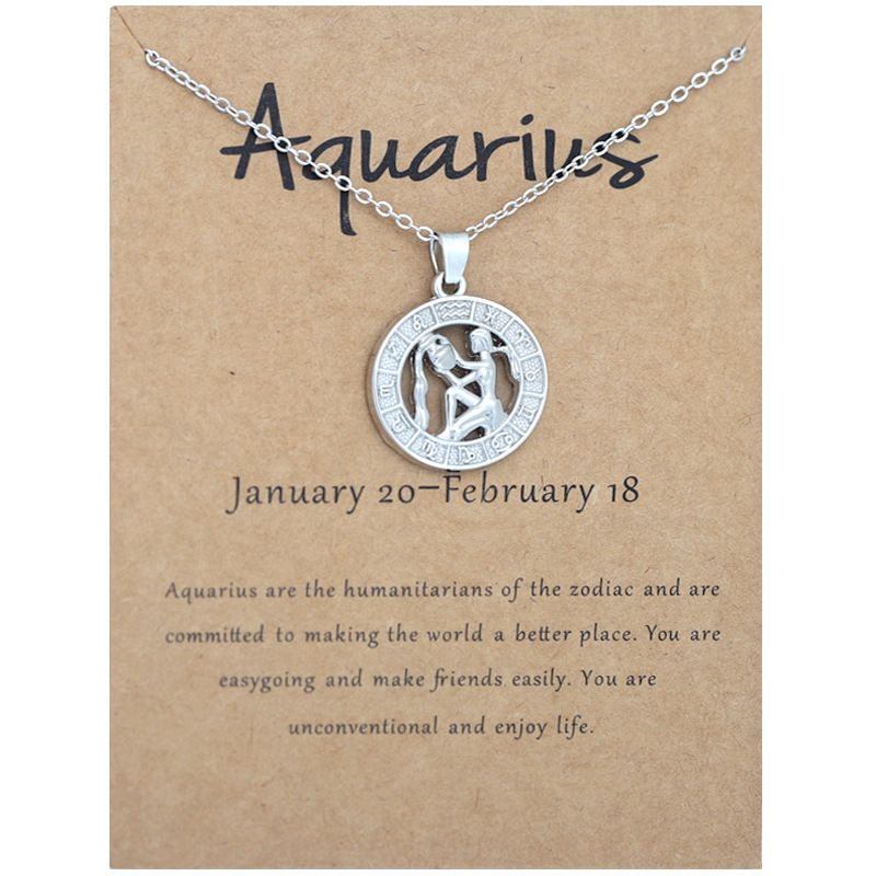 Zodiac Signs CZ Charm Silver Color Necklace for Everyday Wear