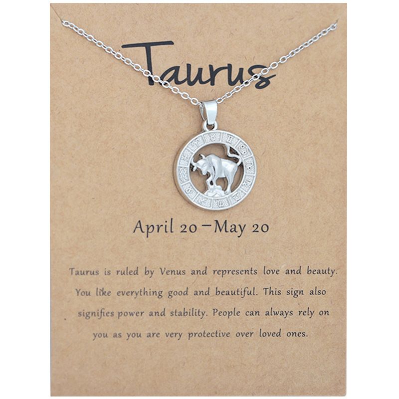 Zodiac Signs CZ Charm Silver Color Necklace for Everyday Wear