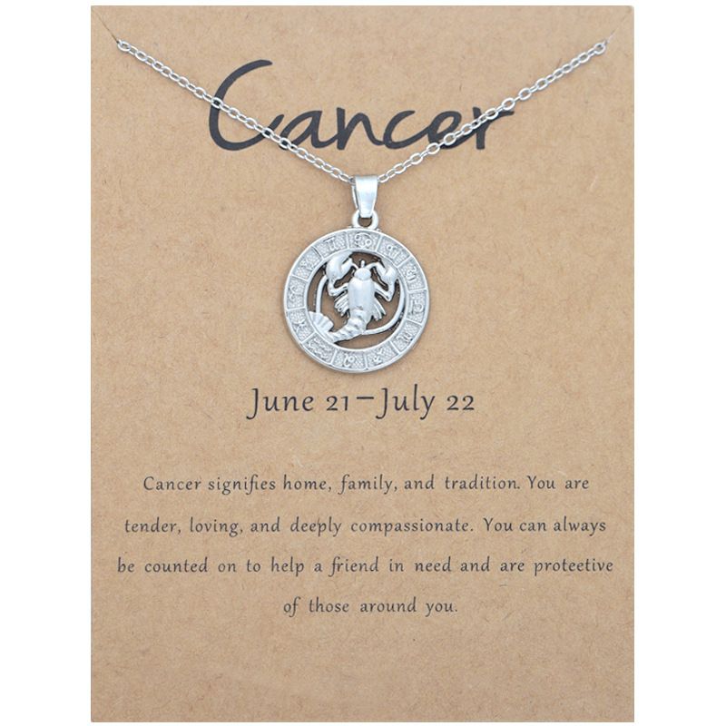 Zodiac Signs CZ Charm Silver Color Necklace for Everyday Wear