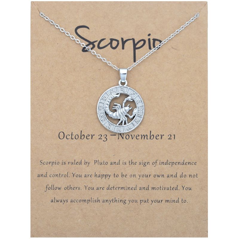 Zodiac Signs CZ Charm Silver Color Necklace for Everyday Wear