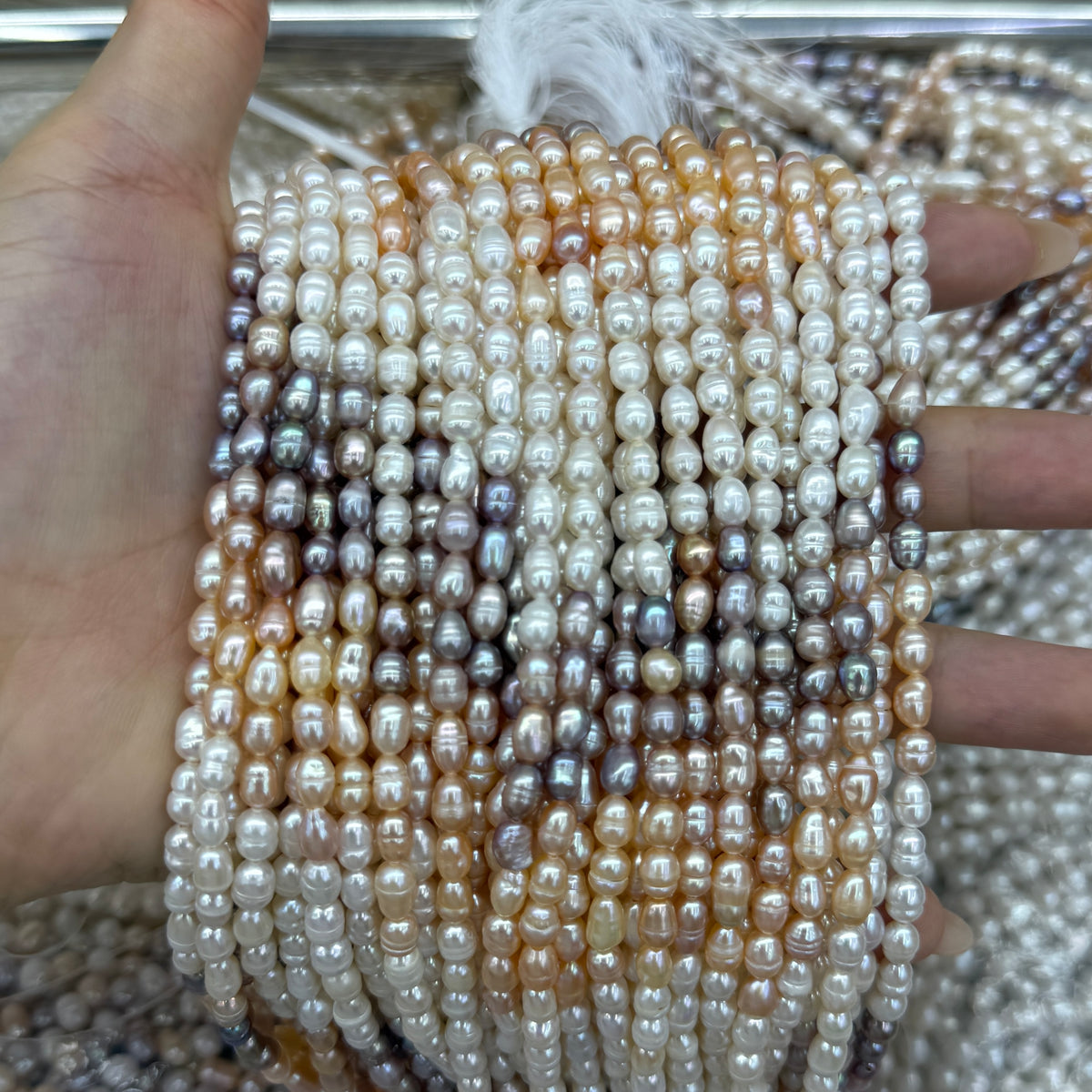 4x5.5mm Gradation Rice Oval Freshwater Pearl Beads