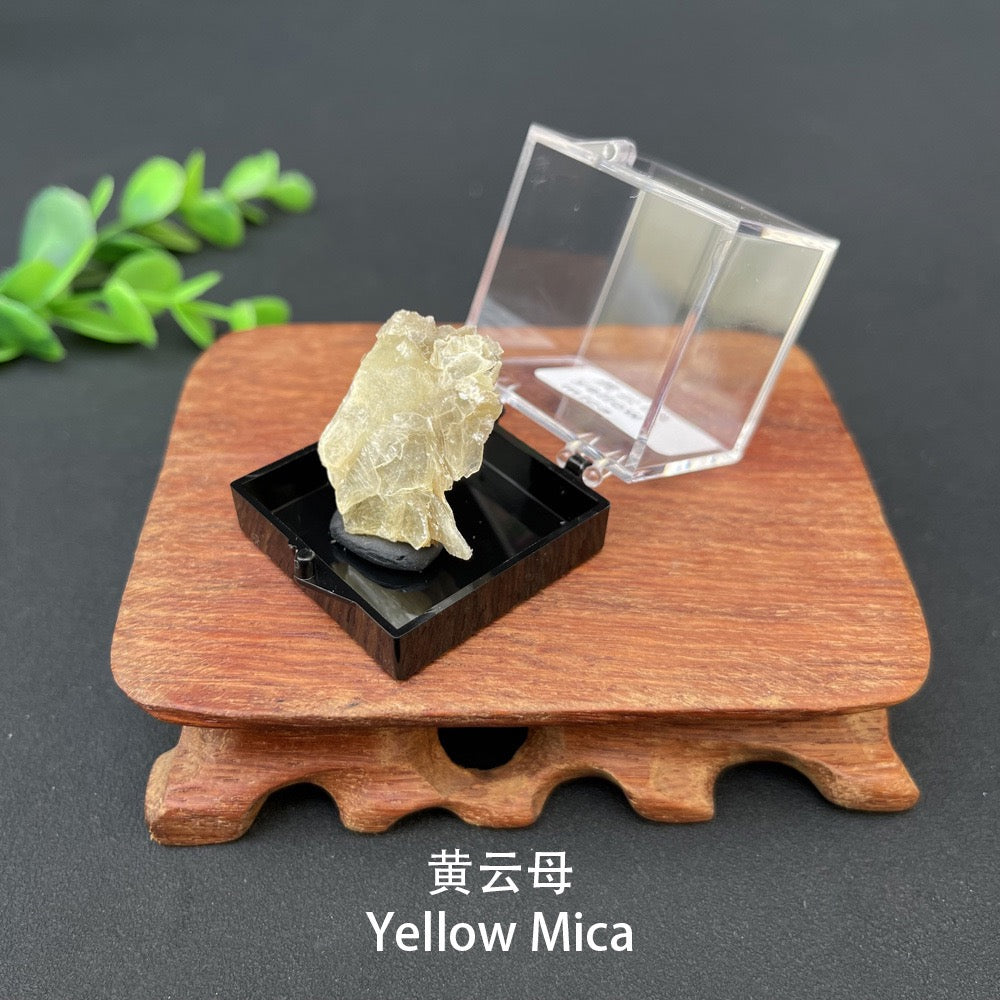 Micro Mineral Box Raw Crystal GemstoneCollection Box
