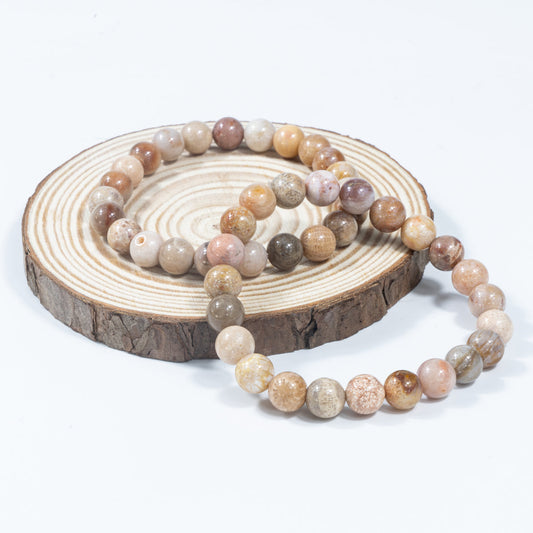 8mm Fossilized Coral Wholesale