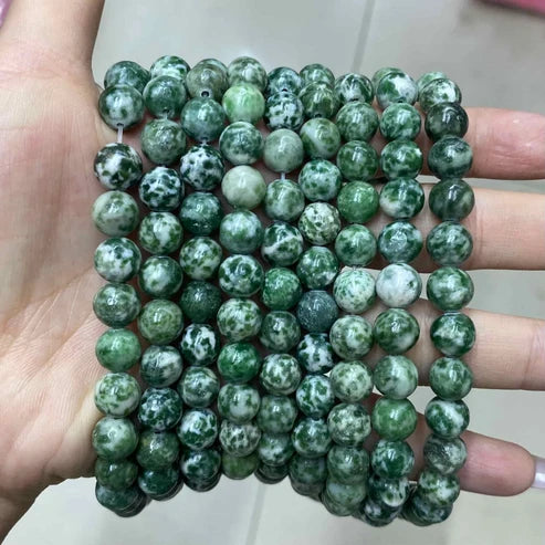 Green Dalmatian Jasper Round Smooth Beads 4mm 6mm 8mm 10mm