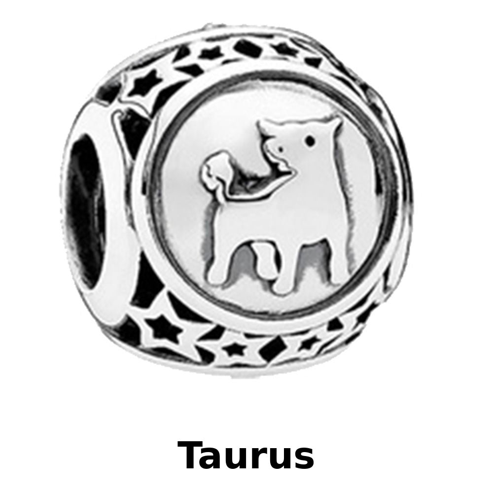 Zodiac Signs Silver Pendora Style Round Spacer Finding for DIY Jewelry Making