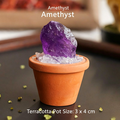 Micro Mineral Raw Crystal Gemstone Collection