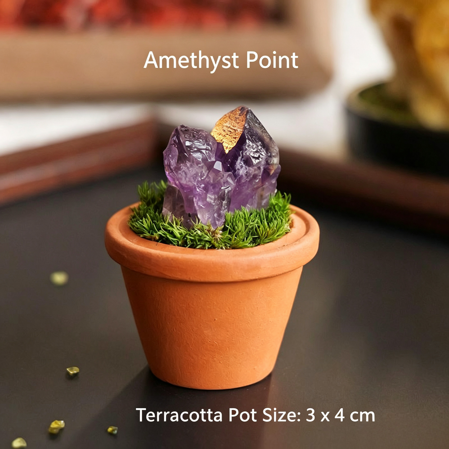Micro Mineral Raw Crystal Gemstone Collection