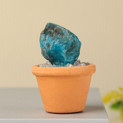 Micro Mineral Raw Crystal Gemstone Collection