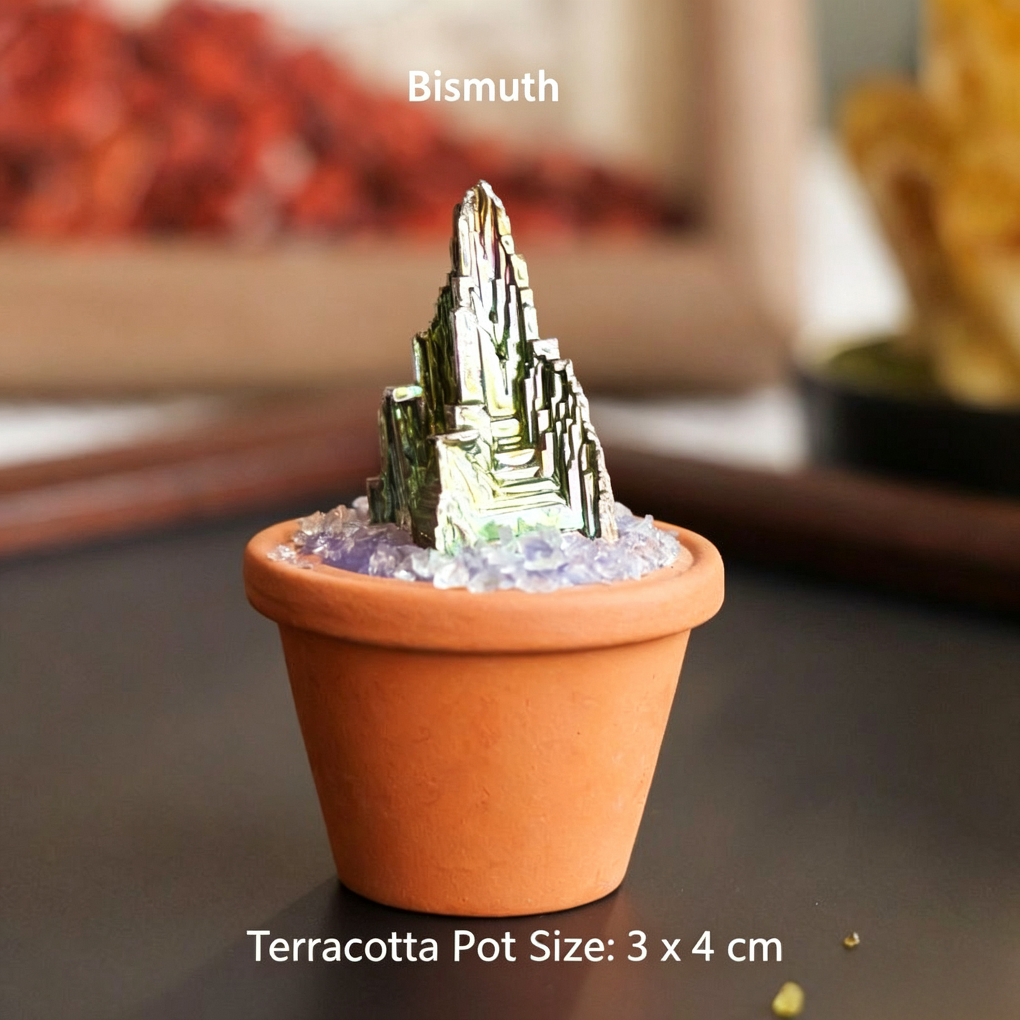 Micro Mineral Raw Crystal Gemstone Collection