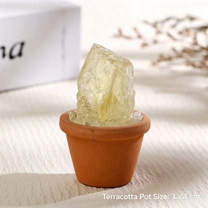 Micro Mineral Raw Crystal Gemstone Collection
