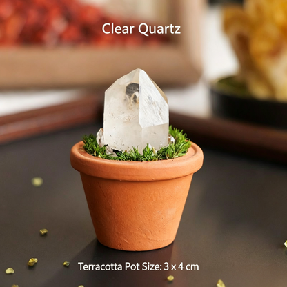 Micro Mineral Raw Crystal Gemstone Collection