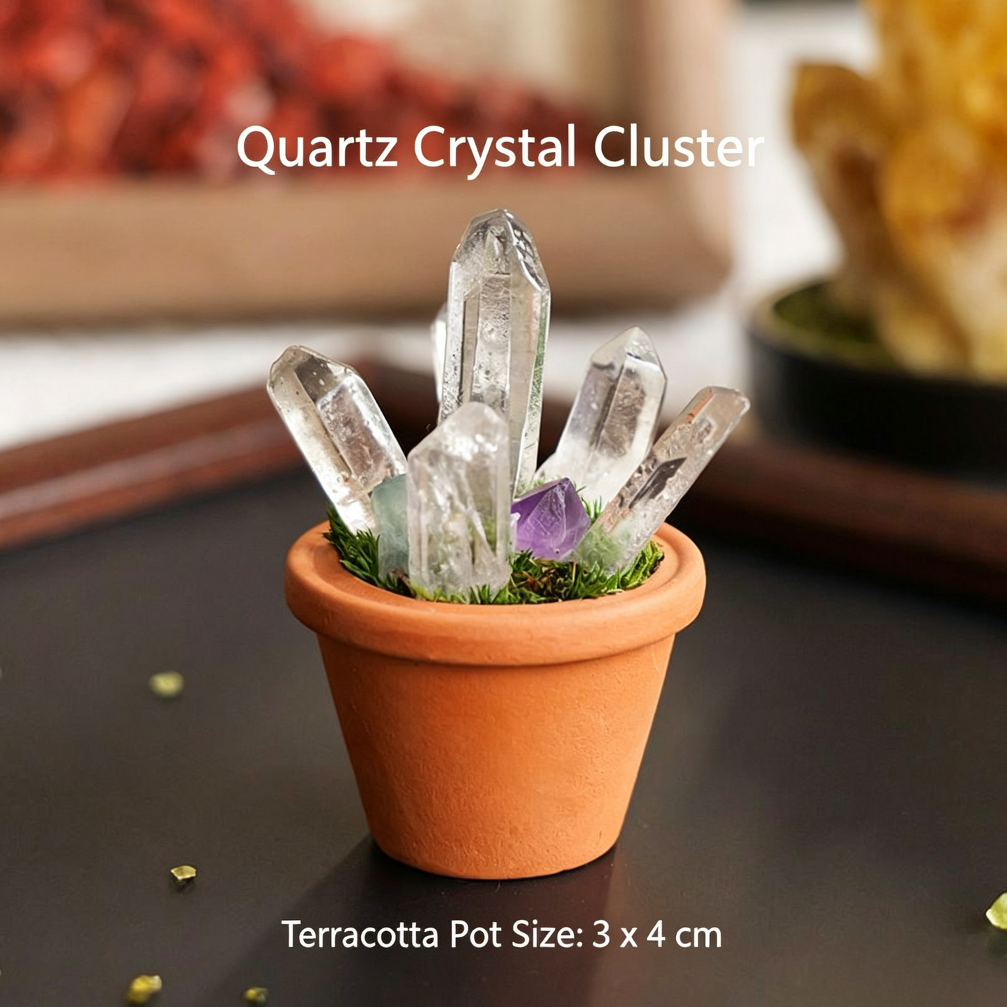 Micro Mineral Raw Crystal Gemstone Collection