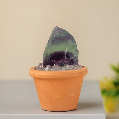 Micro Mineral Raw Crystal Gemstone Collection