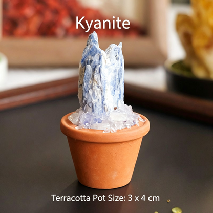 Micro Mineral Raw Crystal Gemstone Collection