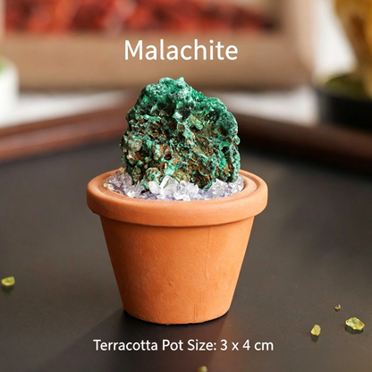 Micro Mineral Raw Crystal Gemstone Collection