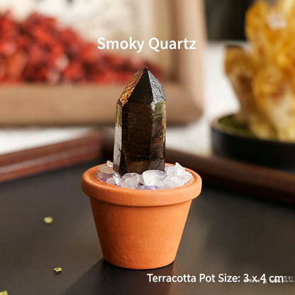 Micro Mineral Raw Crystal Gemstone Collection